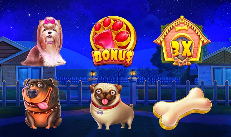 Best Online Slots 2026 High Volatility 2026